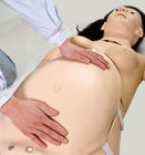 Entrenamiento de enseñanza simulador neonatal maternal del nacimiento del niño del PVC