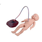 Simulador del nacimiento del bebé del entrenamiento del PVC del SGS con el cordón umbilical