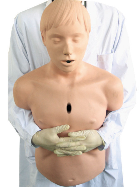 Medio - maniquí de la resucitación del modelo/CPR de la vía aérea del cuerpo para los primeros auxilios del adulto de Heidegger