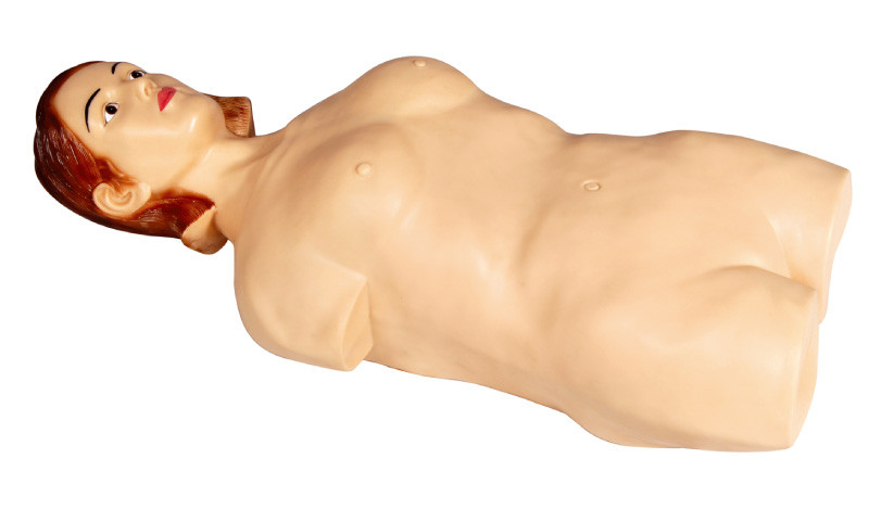Mitad femenina - maniquí abdominal del simulador de la palpación del cuerpo para la universidad, aprendizaje del hospital