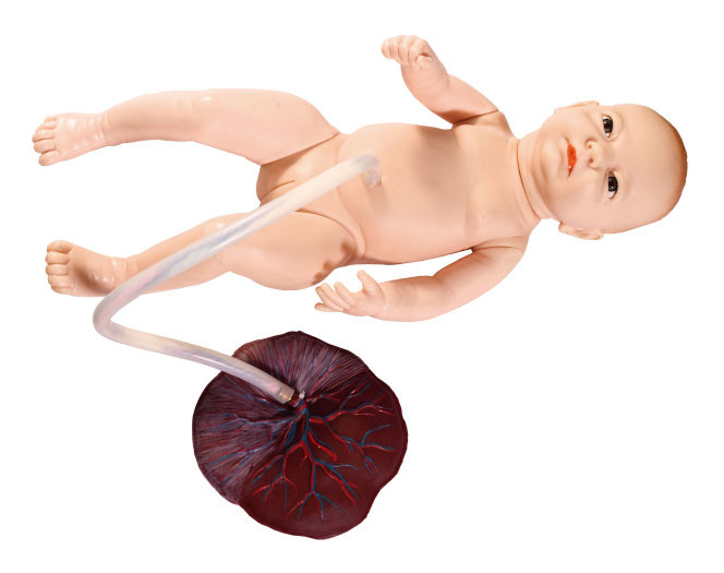Pequeño recién nacido femenino con la simulación del oficio de enfermera del cordón umbilical que entrena al modelo fetal