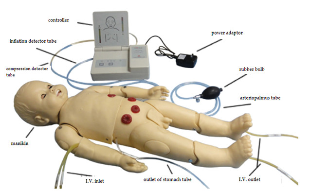 El simulador de la auscultación fijó/maniquí pediátrico de la simulación con el generador de ECG