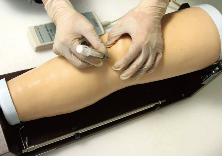 Simulador intracavitario electrónico de la inyección de la junta de rodilla, modelos médicos