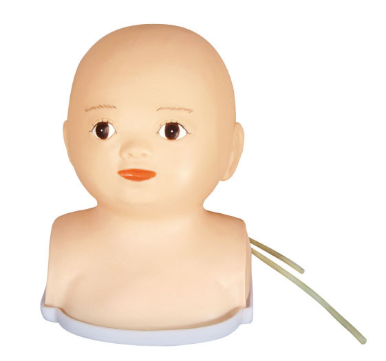 Maniquí pediátrico sintético principal infantil avanzado de la simulación para las Facultades de Medicina