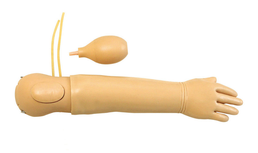 Simulador del brazo del niño con el marcador óseo obvio de la identificación para el entrenamiento arterial de la inyección
