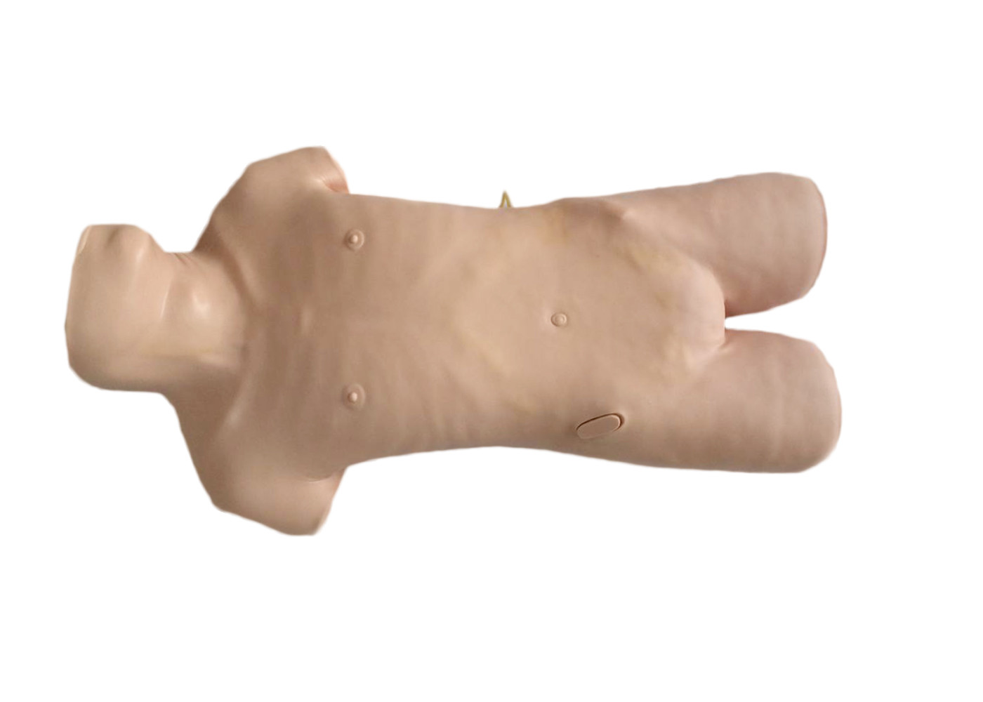 Maniquí clínico realista del abdominocentesis de la simulación del cuerpo superior para la práctica de la puntura