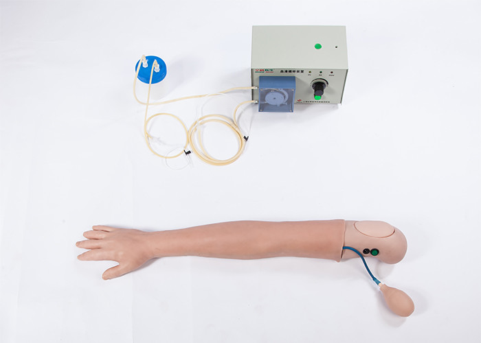 El PVC avanzado simuló el modelo de entrenamiento humano del brazo de la hemodialisis