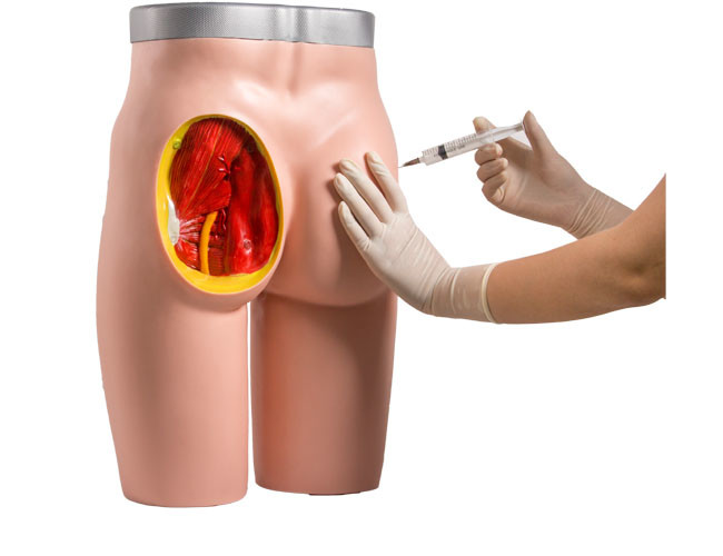 Inyección que entrena a la nalga humana médica intramuscular