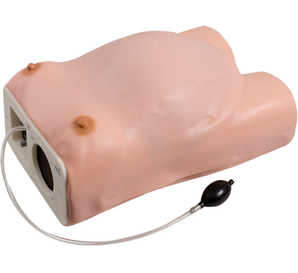Simulador ginecológico del examen de la maternidad del PVC del hospital