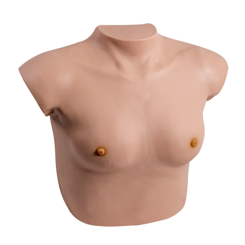 Examen de conciencia ginecológico del simulador del pecho femenino suave de la piel con el tumor