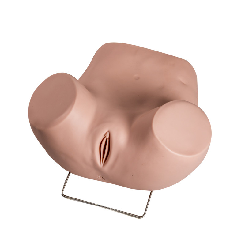 Modelo ginecológico With Replacement Cervicals del examen del PVC