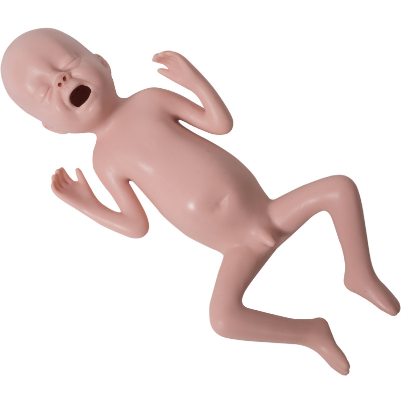 Maniquí pediátrico de la simulación del bebé prematuro con la palpación