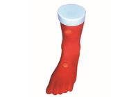 Simulación clínica del modelo del edema de las picaduras de la pierna del PVC para el entrenamiento de cuidado