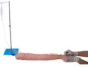 Hospital realista que entrena al brazo multi de Venipuncture del velo