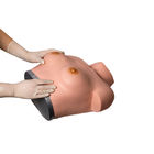 Simulador ginecológico del pecho de la palpación de la inspección para el entrenamiento