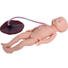 Simulador de la entrega de bebé del simulador del parto del feto de las universidades dos