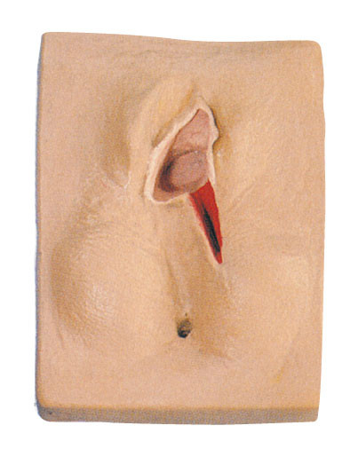 Entrenamiento de sutura del tacto del PVC del niño del nacimiento de la vulva suave realista del simulador