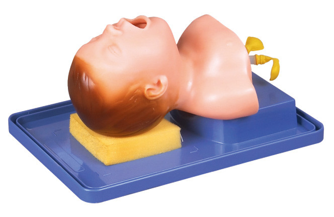 Recién nacido realista con la anatomía principal para el entrenamiento traqueal de la intubación