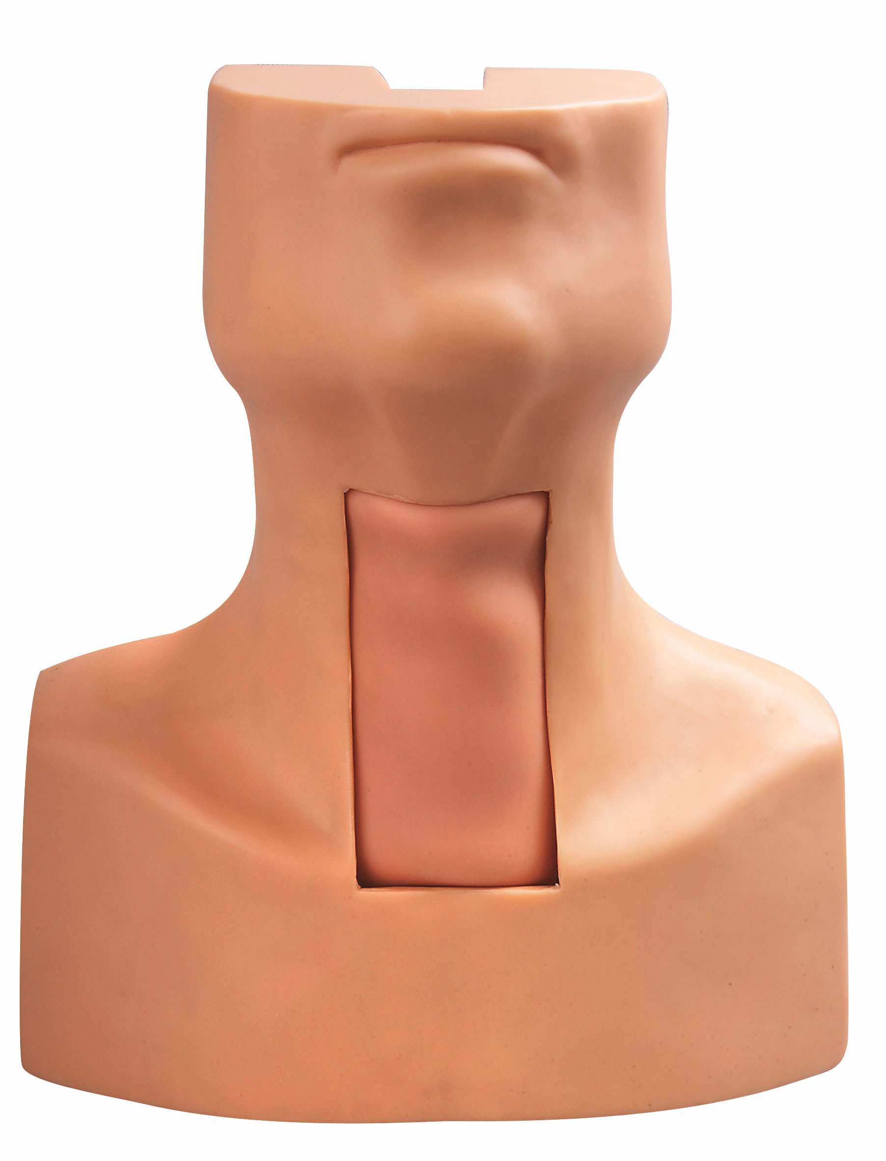 Modelo de la intubación de la puntura de la traqueotomía con la piel simulada de la tráquea y del cuello para entrenar