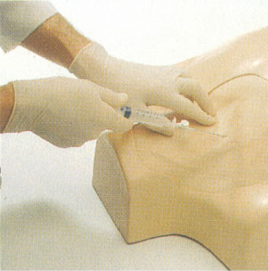 IV simulación clínica yugular, entrenamiento del torso de la puntura de la vena subclavia, femoral para el colega