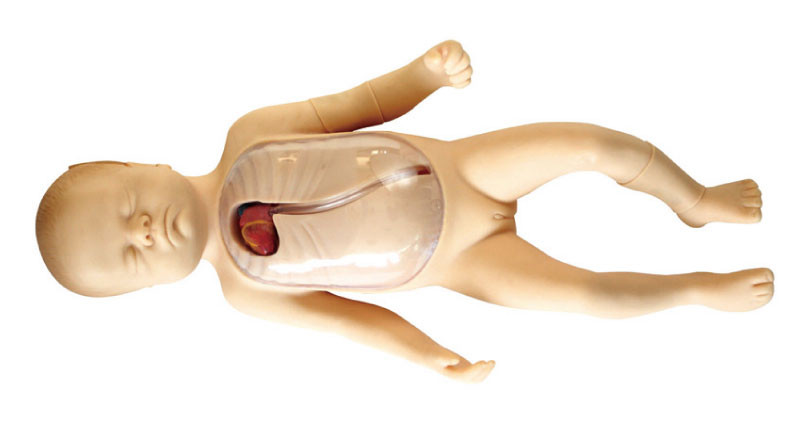 Maniquí del recién nacido con la simulación central periféricamente insertada del niño del catéter