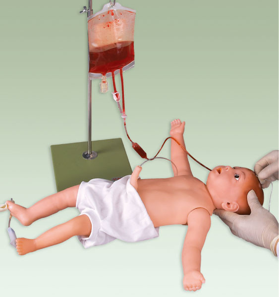Modelo de la simulación de la inyección pediátrica del maniquí/del bebé con los vasos sanguíneos y la piel venosos