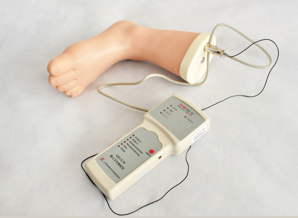 Herramienta clínica del entrenamiento de la simulación de la inyección del tobillo del pie de la estructura anatómica
