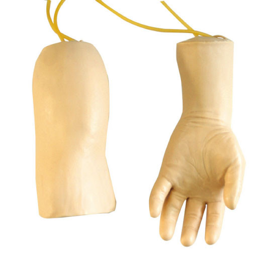 El maniquí de la mano GD/HS42 y del oficio de enfermera del codo arma el modelo para el entrenamiento de la tubería de la transfusión