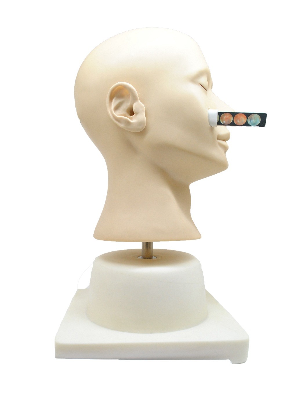 Muñeca nasal del entrenamiento de la hemorragia de la simulación clínica avanzada para la universidad, hospital