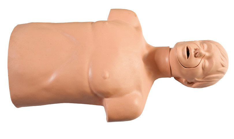 PVC de la protección del medio ambiente medio - maniquíes de los primeros auxilios del cuerpo para practicar de la operación del CPR
