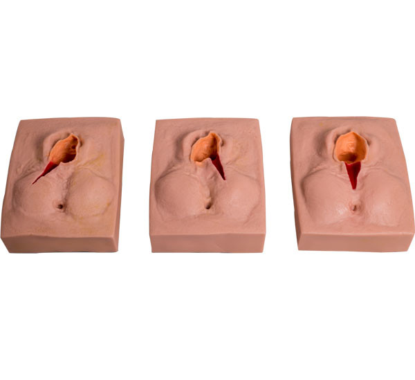 Simulador de sutura del nacimiento del niño de la vulva del PVC para el entrenamiento de la escuela
