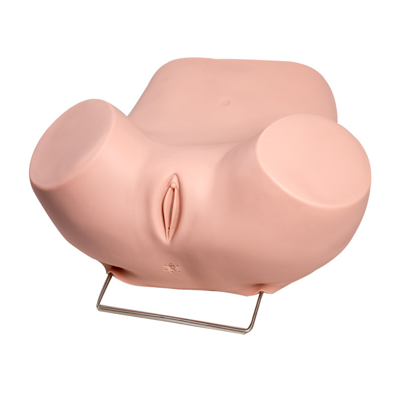 Simulador ginecológico del examen de Viginal con el útero normal