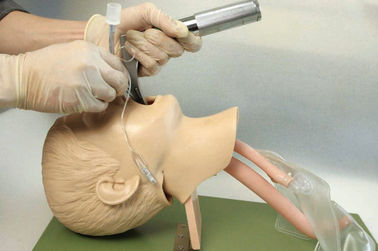 Estructura anatómica realista con la boca de los niños, faringe, Tracheafor para el entrenamiento de la intubación
