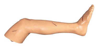 Suture el corte quirúrgico de la formación de capacidades de la pierna y la muñeca de sutura del entrenamiento