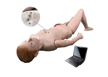 El maniquí de la simulación/de la auscultación del hospital con ECG simuló el sistema de enseñanza